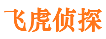 云县市私家侦探